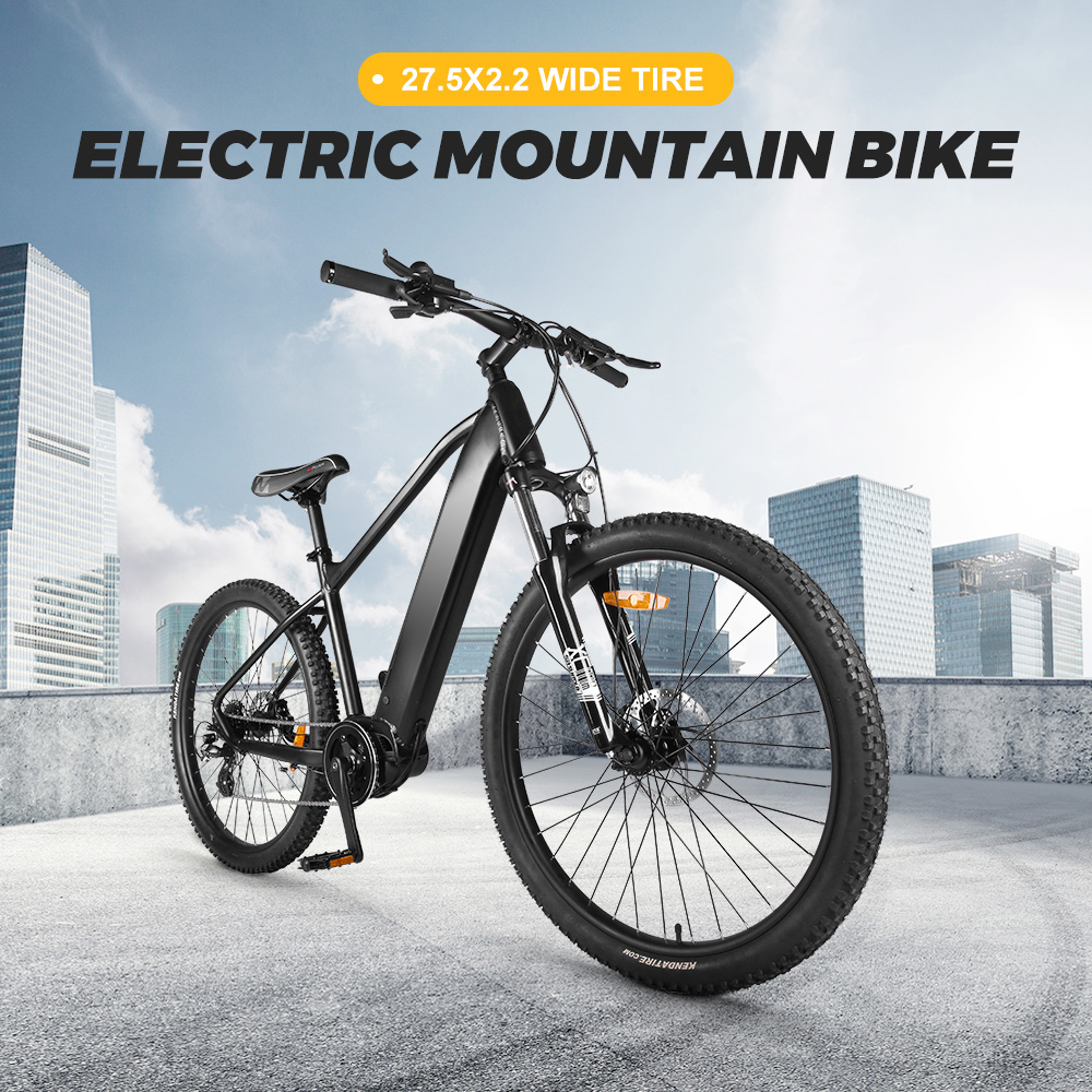 China ebike fabrik Akkubici marke ACFATR2